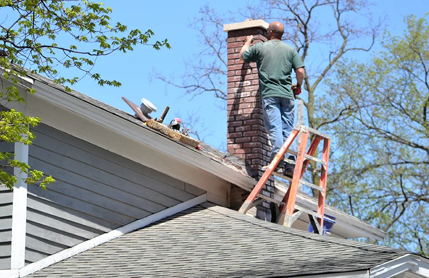 Chimney & Fireplace Inspections Services in Lake Ronkonkoma, NY